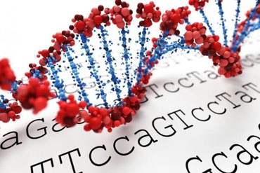 WUMed | Na świecie żyją już osoby o zmodyfikowanym DNA