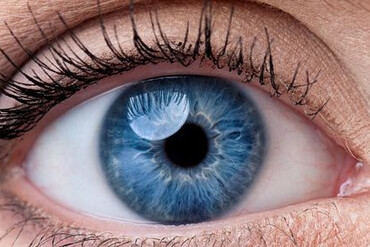 WUMed | Wpatrywanie się w głęboką czerwień może poprawić pogarszający się wzrok
