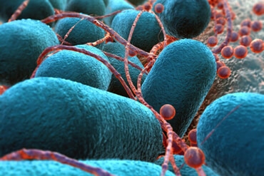 WUMed | Nowa broń w walce z bakteriami opornymi na antybiotyki
