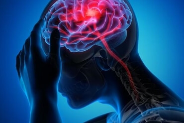 WUMed | Kleszczowe zapalenie mózgu – fakty, które warto znać