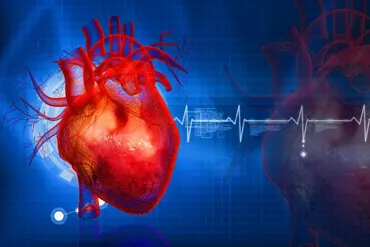 WUMed | Naukowcy odkryli w sercu nowe komórki. Odpowiadają za rytm pracy serca i są podobne do tych w mózgu